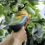 SUNFOREST H-100 非破壞性糖度計(無須破果)：圖片 6