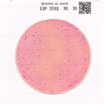 腸桿菌科快速檢測片Easy Plate EB