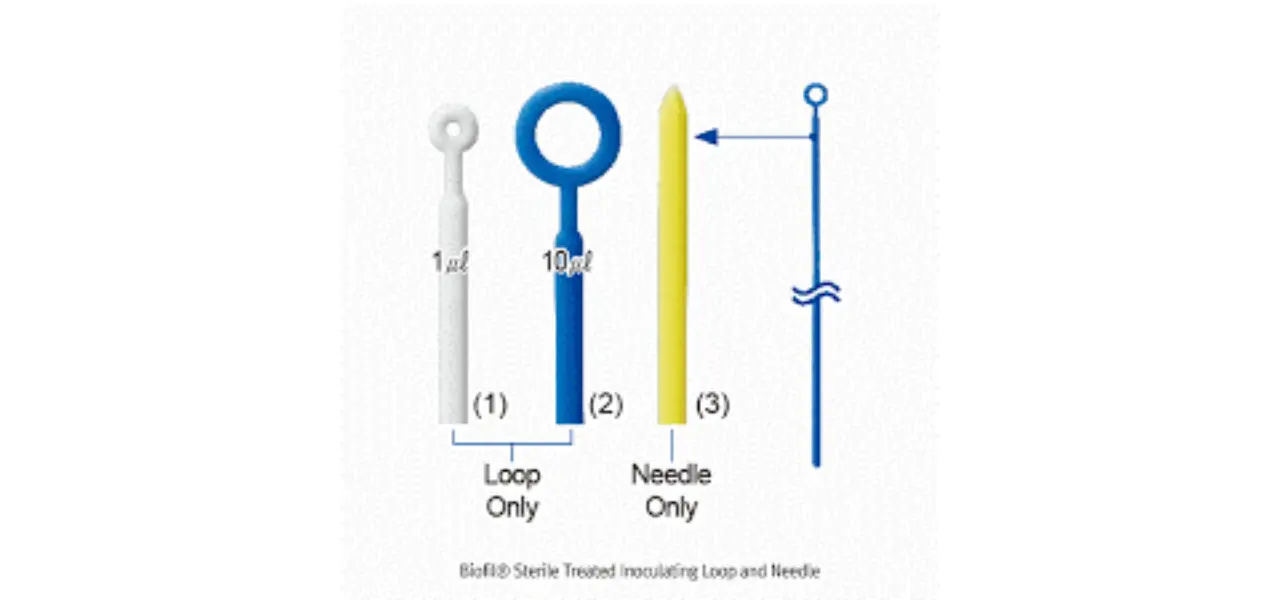 loop-1