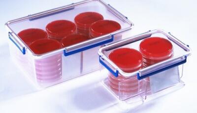 MGC Rectangular Jar 培養盒