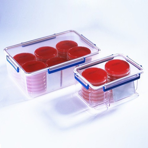 MGC Rectangular Jar 培養盒