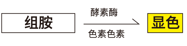 太鼎食安科技|Kikkoman|組織胺試劑分析套組|Histamine Check Swab|組織胺快速篩檢棒|60441