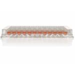 Nunc MicroWell 96-Well Microplates(96孔盤)：圖片 4